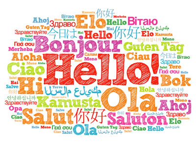 Area Linguistica >>