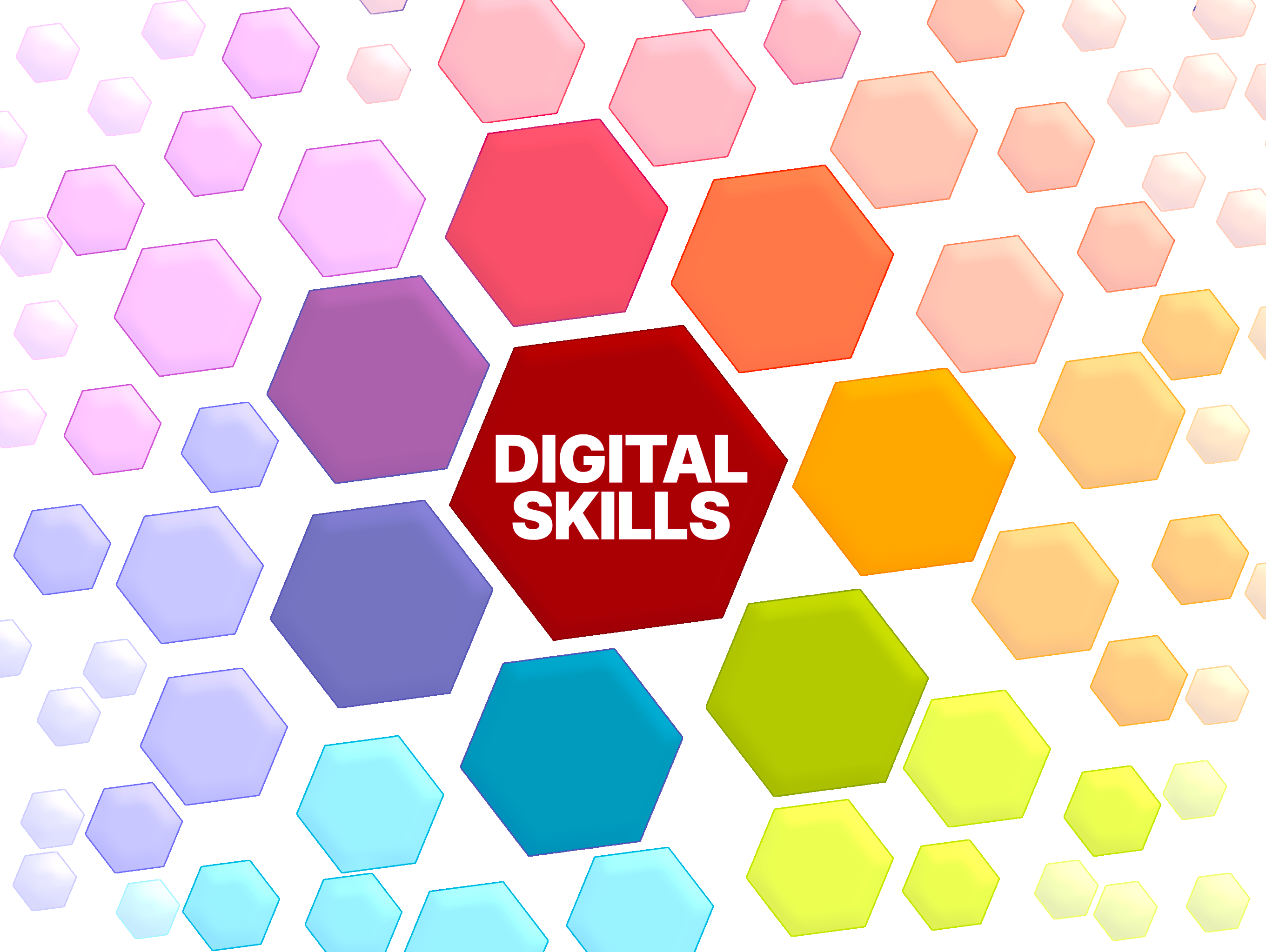 Area Informatica e Multimedialità >>