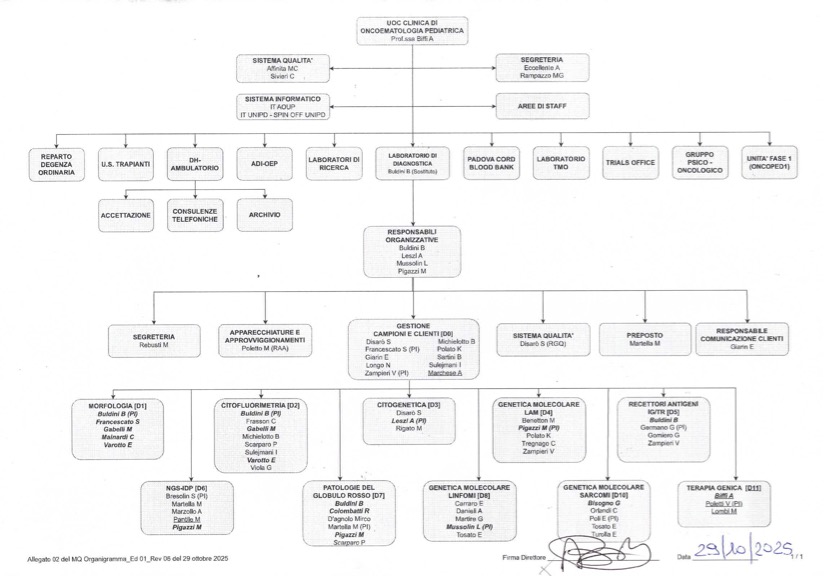 Organigramma UOC Oncoematologia Pediatrica con aree cliniche, laboratori, staff e gruppi specialistici (29/10/2025).